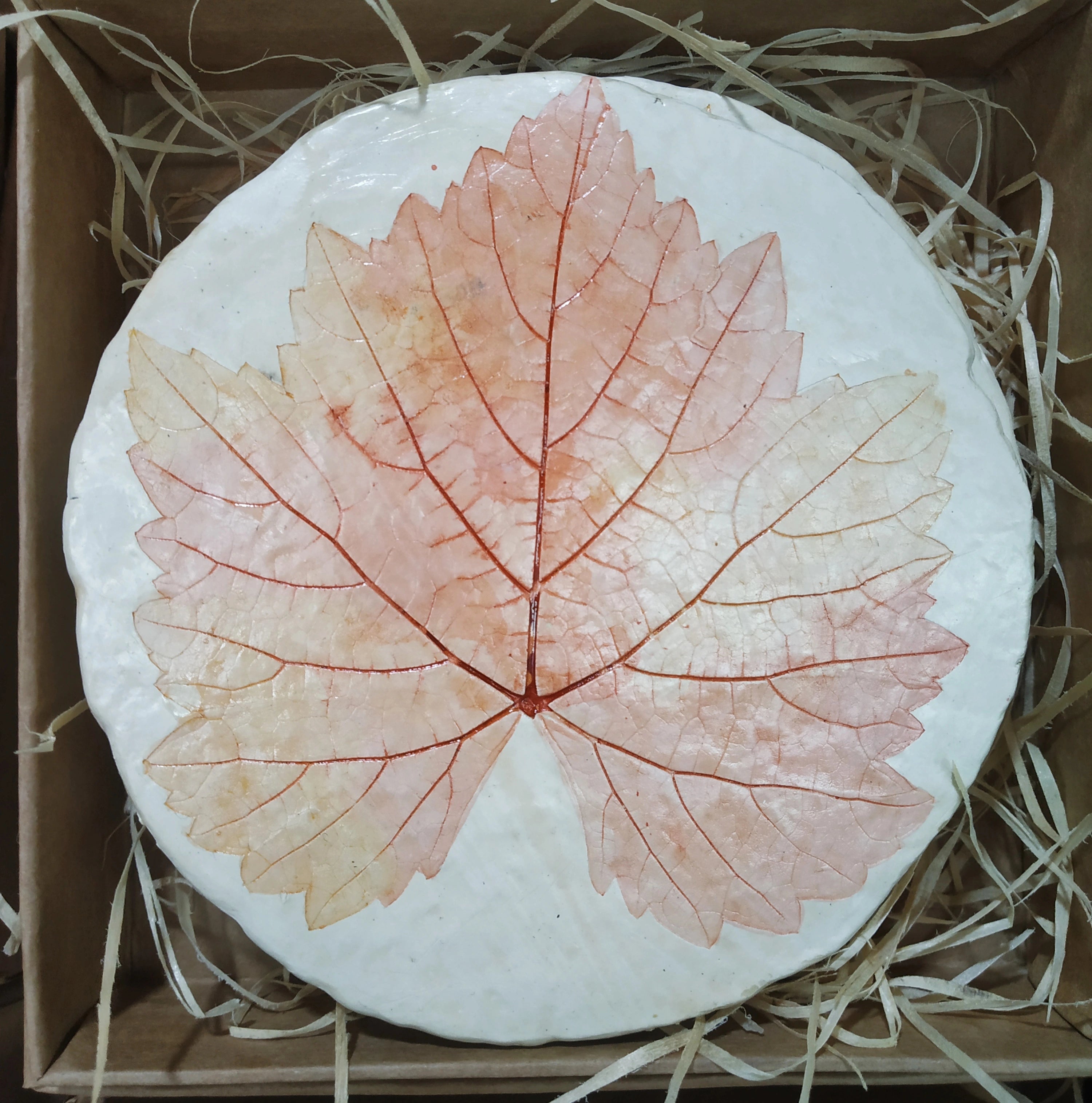 Papier Mache Coaster Set - Assorted Spring Leaves