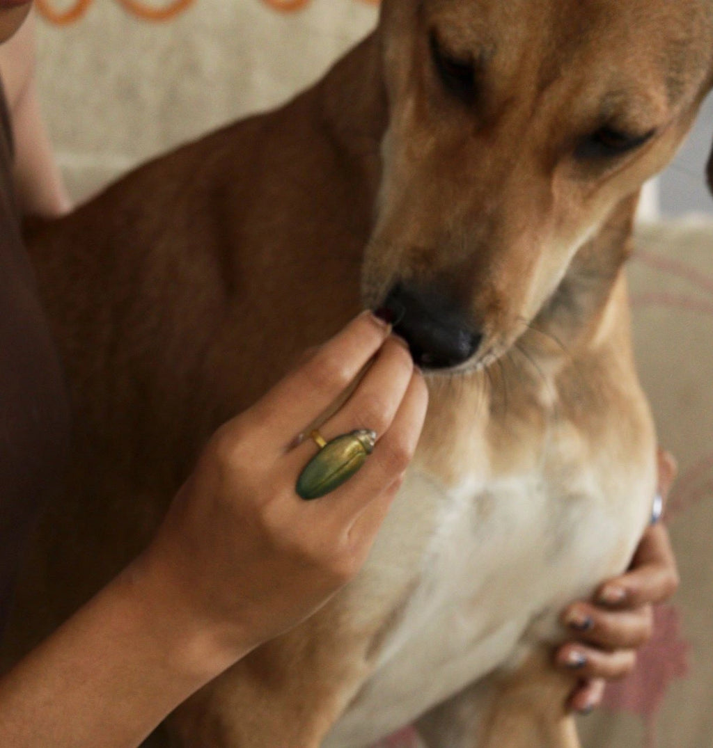 Papier-mache Ring-Beetle-Metallic Black