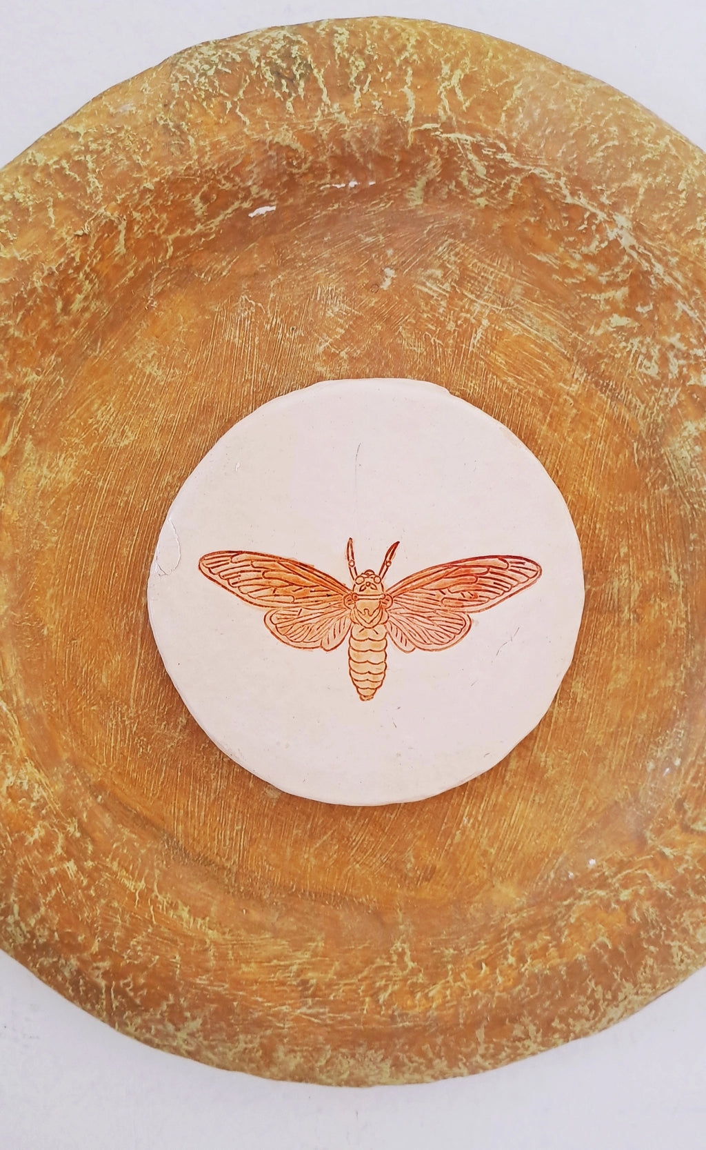 Papier-mache Wall Plates-Moth