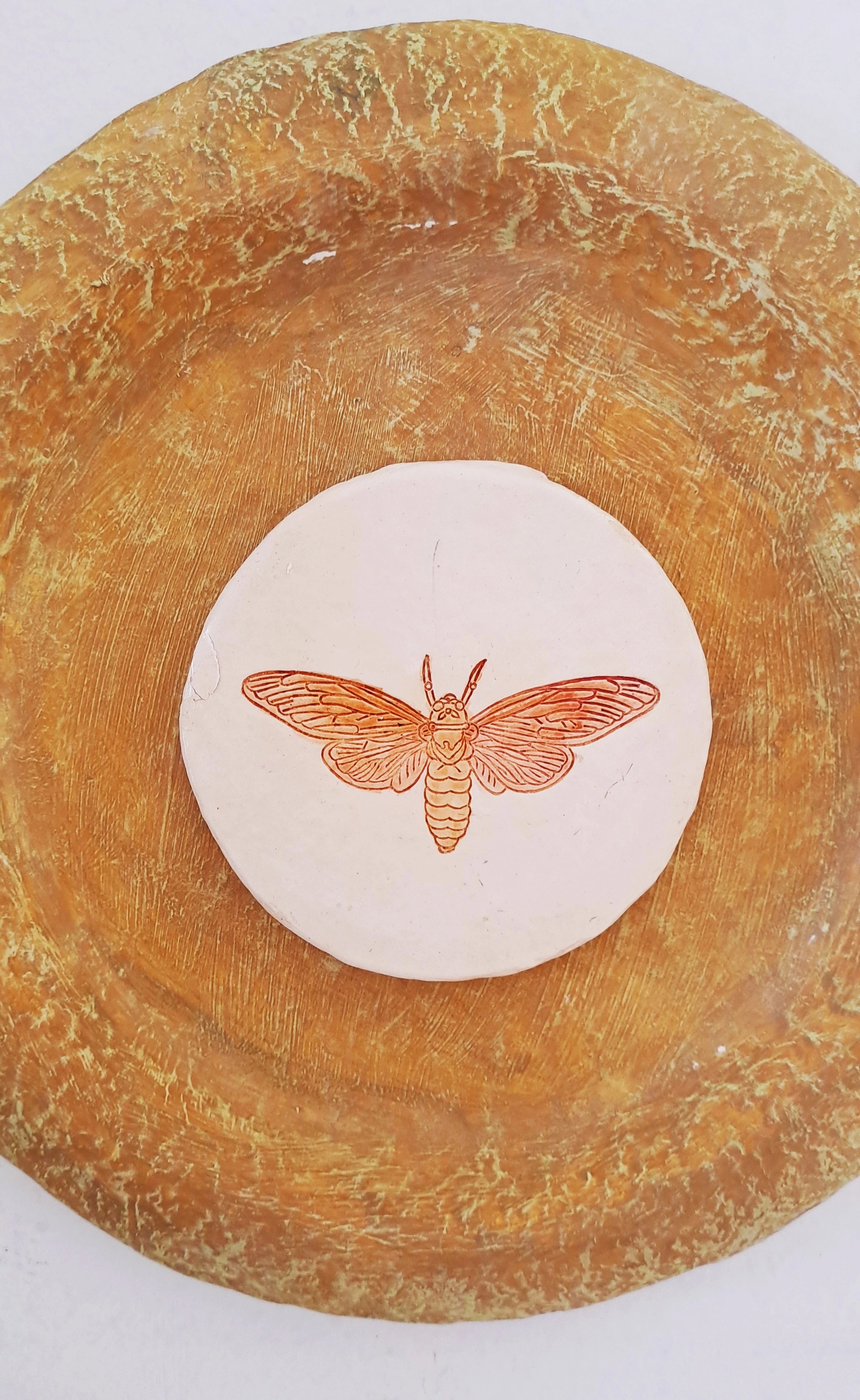 Papier-mache Wall Plates-Moth