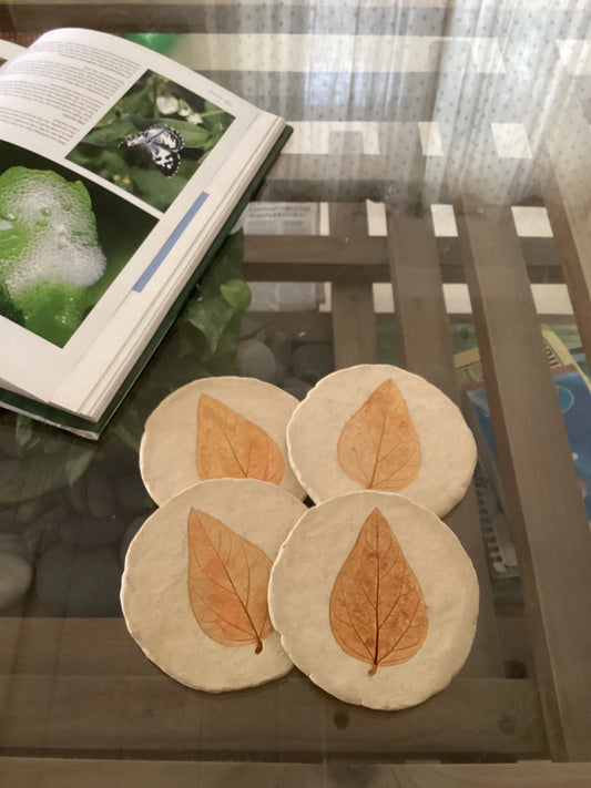 Set of 4 Coasters - Harsringar leaf