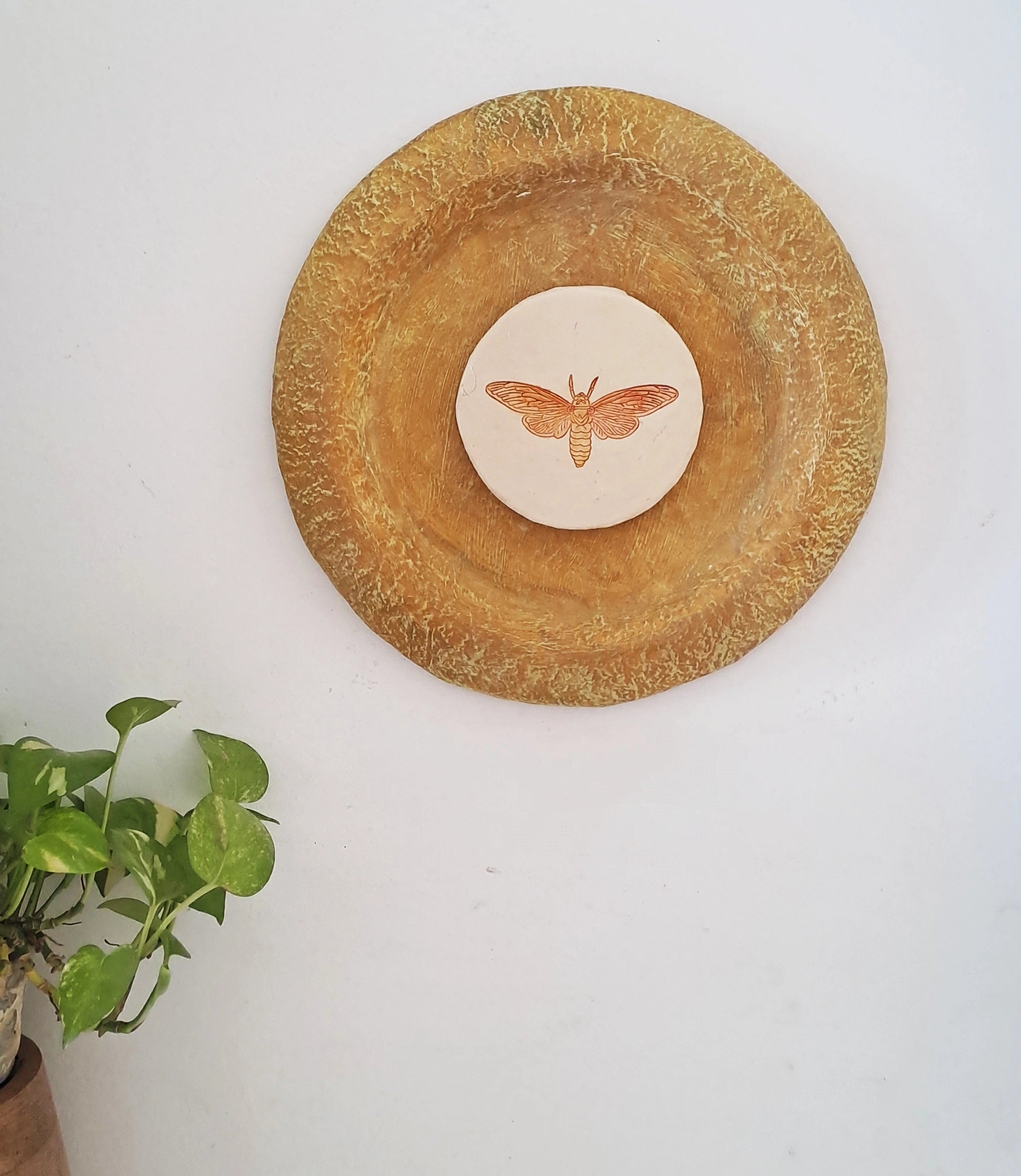 Papier-mache Wall Plates-Moth