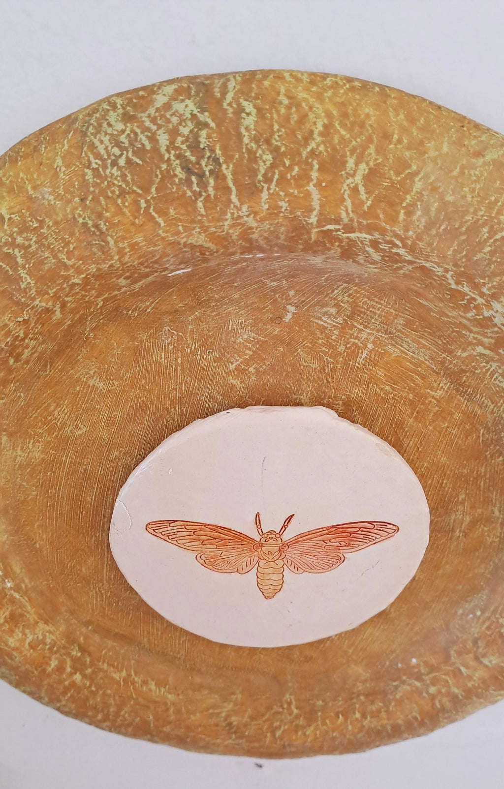Papier-mache Wall Plates-Moth