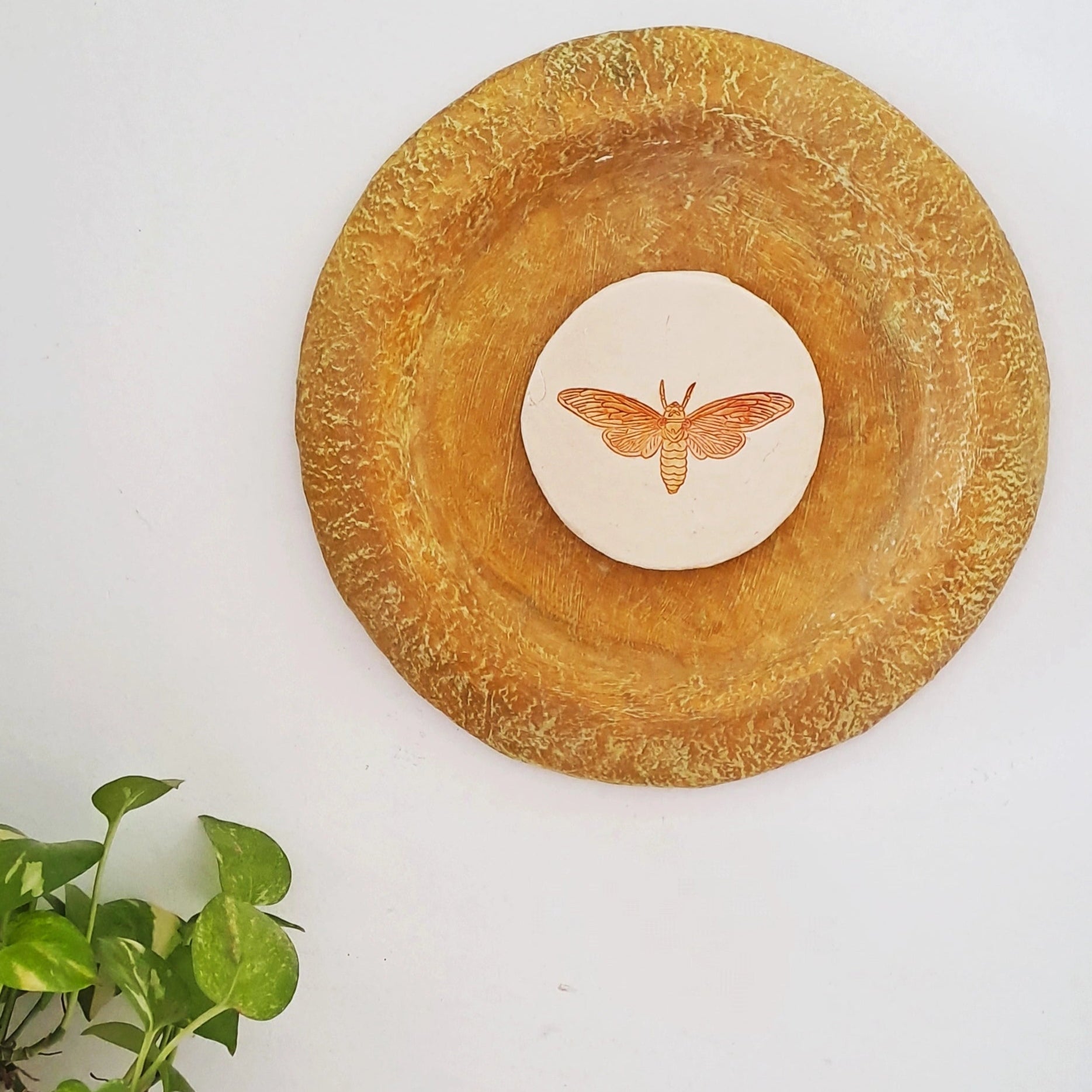 Papier-mache Wall Plates-Moth